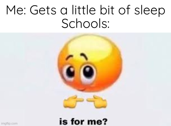 "NO I WANNA SLEEP" | Me: Gets a little bit of sleep
Schools: | image tagged in is for me,memes | made w/ Imgflip meme maker