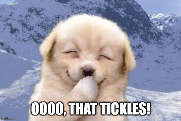 Laughing dog | OOOO, THAT TICKLES! | image tagged in laughing dog | made w/ Imgflip meme maker