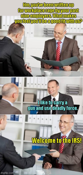 It's Not Just a Job, It's a Misadventure | Hm, you've been written up for workplace rage by your past nine employers. What makes you feel you'll be a good fit with us? I like to carry a gun and use deadly force. Welcome to the IRS! | image tagged in job interview,irs,us internal revenue service,recruitment,satire | made w/ Imgflip meme maker