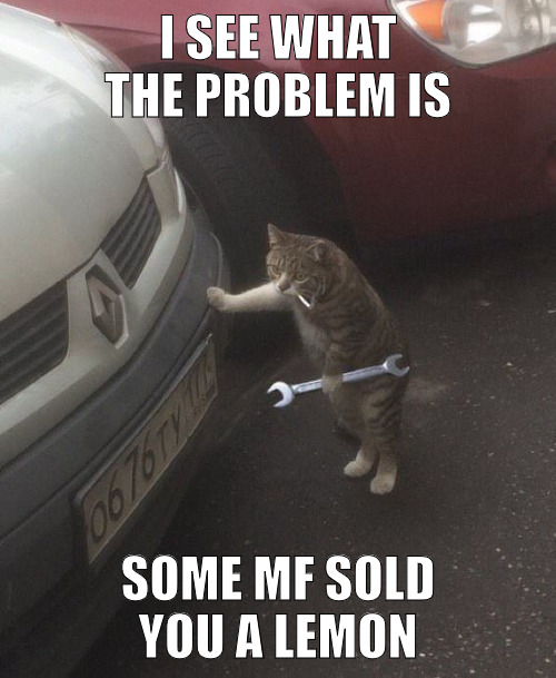 ALWAYS READ THE REVIEWS BEFORE BUYING! | I SEE WHAT THE PROBLEM IS; SOME MF SOLD YOU A LEMON | image tagged in mechanic cat,meme | made w/ Imgflip meme maker