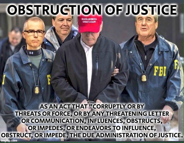 OBSTRUCTION OF JUSTICE |  OBSTRUCTION OF JUSTICE; AS AN ACT THAT "CORRUPTLY OR BY THREATS OR FORCE, OR BY ANY THREATENING LETTER OR COMMUNICATION, INFLUENCES, OBSTRUCTS, OR IMPEDES, OR ENDEAVORS TO INFLUENCE, OBSTRUCT, OR IMPEDE, THE DUE ADMINISTRATION OF JUSTICE. | image tagged in obstruction of justice,corrupt,threat,force,influence,impede | made w/ Imgflip meme maker