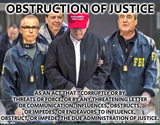 OBSTRUCTION OF JUSTICE | OBSTRUCTION OF JUSTICE; AS AN ACT THAT "CORRUPTLY OR BY THREATS OR FORCE, OR BY ANY THREATENING LETTER OR COMMUNICATION, INFLUENCES, OBSTRUCTS, OR IMPEDES, OR ENDEAVORS TO INFLUENCE, OBSTRUCT, OR IMPEDE, THE DUE ADMINISTRATION OF JUSTICE. | image tagged in obstruction of justice,corrupt,threat,force,influence,impede | made w/ Imgflip meme maker