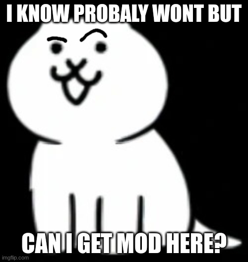 just asking (Yeet_just_Yeet: Idk, Iceu ya-boi-sammy had his mod removed because he was abusing it so...) | I KNOW PROBALY WONT BUT; CAN I GET MOD HERE? | image tagged in modern cat my beloved,sammy,memes,funny,iceu,mod | made w/ Imgflip meme maker