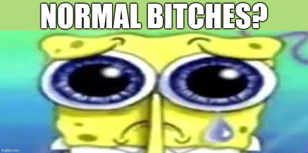 Sad Spong | NORMAL BITCHES? | image tagged in sad spong | made w/ Imgflip meme maker
