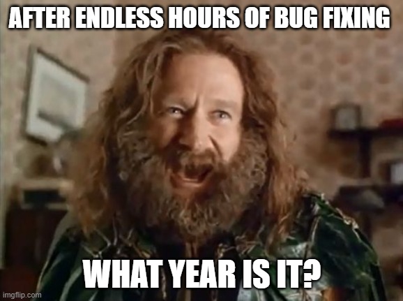 What Year Is It Meme | AFTER ENDLESS HOURS OF BUG FIXING; WHAT YEAR IS IT? | image tagged in memes,what year is it | made w/ Imgflip meme maker