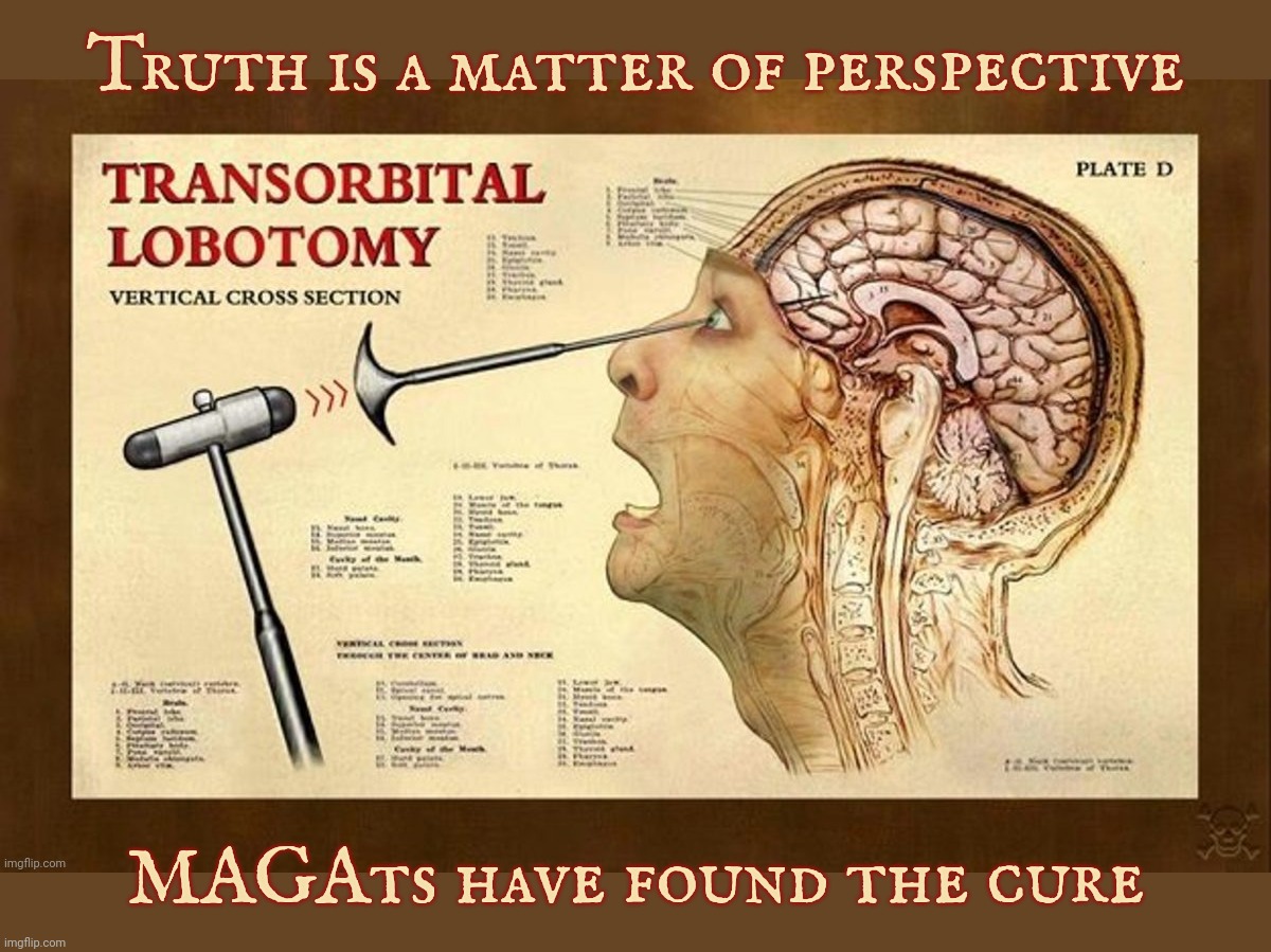 lob | Truth is a matter of perspective MAGAts have found the cure | image tagged in lob | made w/ Imgflip meme maker