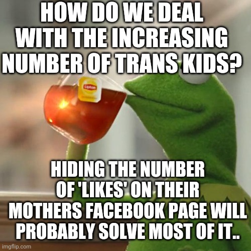 Attention, Positive reinforcement and admiration for parents talking about their transitioning kids?! Oh look, mines trans too! | HOW DO WE DEAL WITH THE INCREASING NUMBER OF TRANS KIDS? HIDING THE NUMBER OF 'LIKES' ON THEIR MOTHERS FACEBOOK PAGE WILL PROBABLY SOLVE MOST OF IT.. | image tagged in memes,but that's none of my business,kermit the frog | made w/ Imgflip meme maker