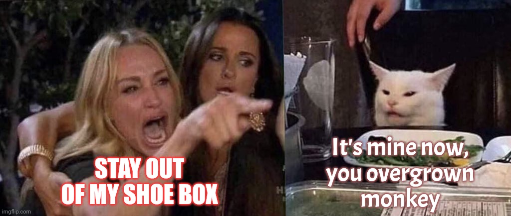 woman yelling at cat | STAY OUT OF MY SHOE BOX It's mine now,
you overgrown
monkey | image tagged in woman yelling at cat | made w/ Imgflip meme maker