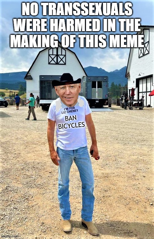 Please don't be offended, this meme has nothing to do with transsexuals even though everything is about transsexuals | NO TRANSSEXUALS WERE HARMED IN THE MAKING OF THIS MEME | image tagged in biden for liz,biden costner | made w/ Imgflip meme maker