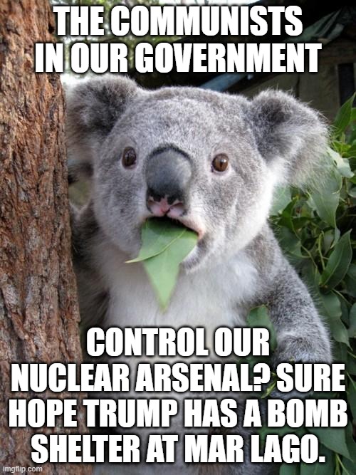 The Commie FBI has reason to believe that Conservatives should be nuked. | THE COMMUNISTS IN OUR GOVERNMENT; CONTROL OUR NUCLEAR ARSENAL? SURE HOPE TRUMP HAS A BOMB SHELTER AT MAR LAGO. | image tagged in memes,surprised koala | made w/ Imgflip meme maker