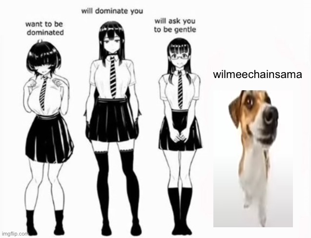 Domination stats | wilmeechainsama | made w/ Imgflip meme maker