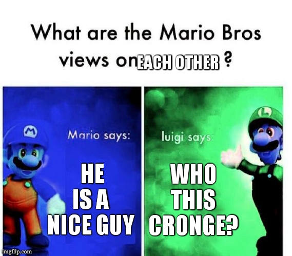 cronge | EACH OTHER; HE IS A NICE GUY; WHO THIS CRONGE? | image tagged in mario bros views | made w/ Imgflip meme maker
