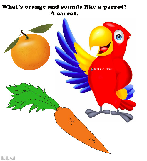 What's orange and sounds like parrot? | image tagged in orange,parrot,carrot,joke,pun,words | made w/ Imgflip meme maker
