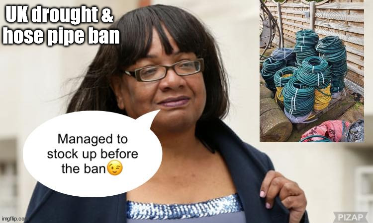 UK faces hose pipe ban | UK drought & 
hose pipe ban | image tagged in diane abbott,hose pipe ban,uk drought | made w/ Imgflip meme maker