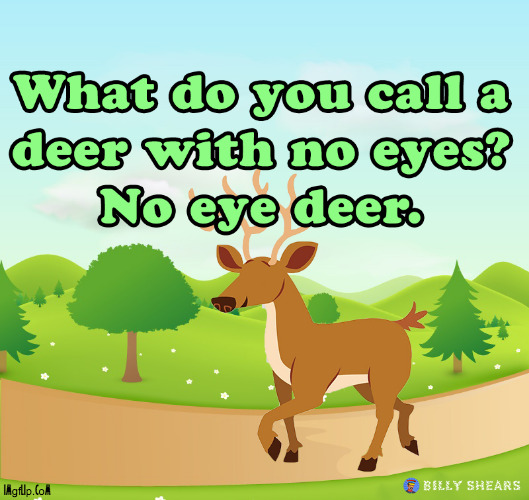 What do you call a deer with no eyes? | image tagged in no idea,deer,pun,joke,no eye deer | made w/ Imgflip meme maker
