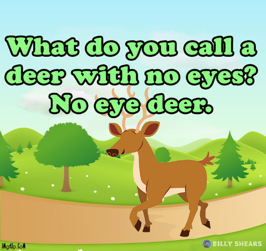 What Do You Call A Deer With No Legs