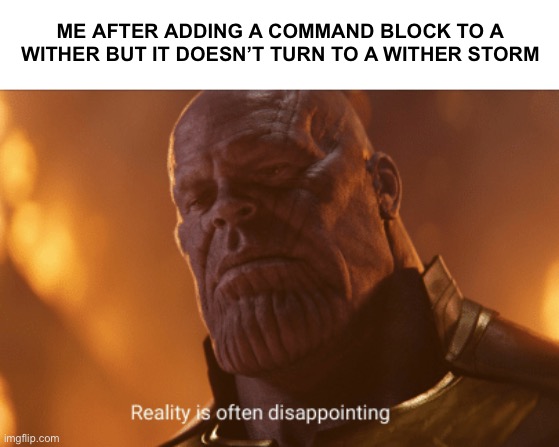 Reality is often dissapointing |  ME AFTER ADDING A COMMAND BLOCK TO A WITHER BUT IT DOESN’T TURN TO A WITHER STORM | image tagged in reality is often dissapointing,minecraft | made w/ Imgflip meme maker