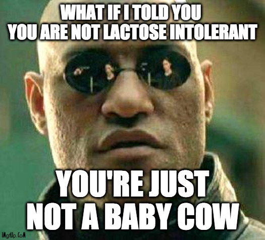 Lactose intolerant people are not baby cows ! | WHAT IF I TOLD YOU 
YOU ARE NOT LACTOSE INTOLERANT; YOU'RE JUST NOT A BABY COW | image tagged in what if i told you,intolerant,milk,cow,complaint,food | made w/ Imgflip meme maker
