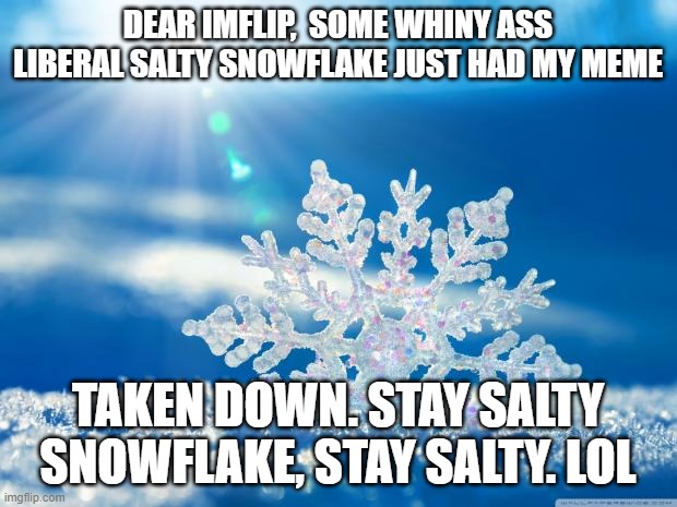 Offended Snowflakes. | DEAR IMFLIP,  SOME WHINY ASS LIBERAL SALTY SNOWFLAKE JUST HAD MY MEME; TAKEN DOWN. STAY SALTY SNOWFLAKE, STAY SALTY. LOL | image tagged in snowflake,liberals,offended,salty | made w/ Imgflip meme maker