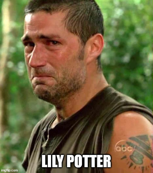 Man Crying | LILY POTTER | image tagged in man crying | made w/ Imgflip meme maker