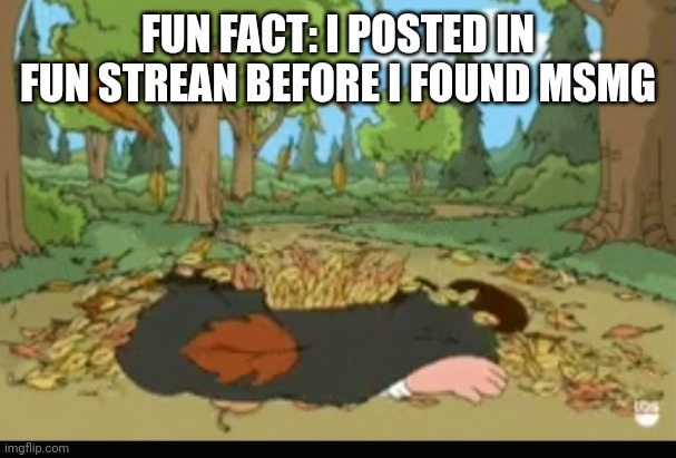 FUN FACT: I POSTED IN FUN STREAN BEFORE I FOUND MSMG | image tagged in dead girdifrni | made w/ Imgflip meme maker