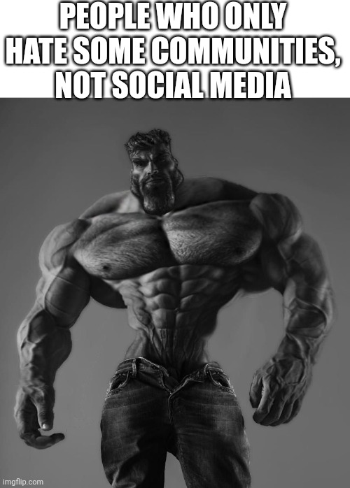 We Hate Some Communities, Not Social Media! | PEOPLE WHO ONLY HATE SOME COMMUNITIES, NOT SOCIAL MEDIA | image tagged in gigachad,community,social media,technology,strong bad,memes | made w/ Imgflip meme maker
