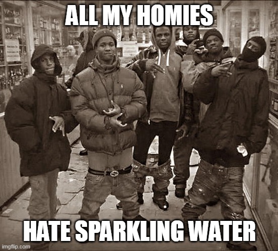 All My Homies Hate | ALL MY HOMIES; HATE SPARKLING WATER | image tagged in all my homies hate | made w/ Imgflip meme maker