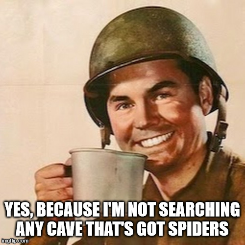 Coffee Soldier | YES, BECAUSE I'M NOT SEARCHING ANY CAVE THAT'S GOT SPIDERS | image tagged in coffee soldier | made w/ Imgflip meme maker