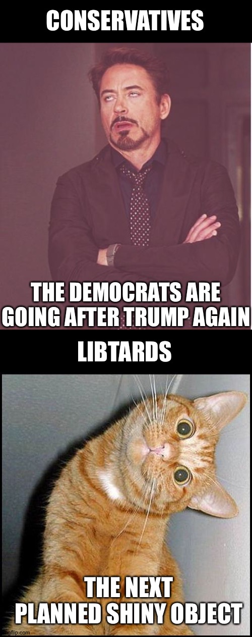 CONSERVATIVES; THE DEMOCRATS ARE GOING AFTER TRUMP AGAIN; LIBTARDS; THE NEXT PLANNED SHINY OBJECT | image tagged in memes,face you make robert downey jr,stupid cat | made w/ Imgflip meme maker