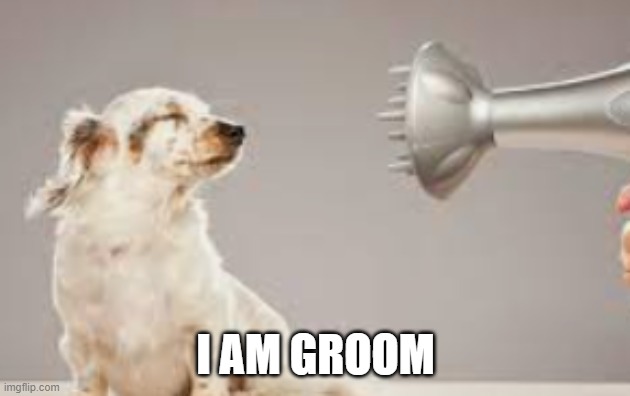 grooming | I AM GROOM | image tagged in grooming | made w/ Imgflip meme maker