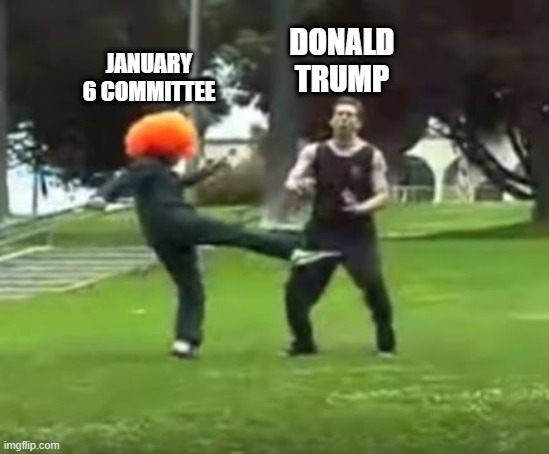 It's Like That... | JANUARY 6 COMMITTEE; DONALD TRUMP | image tagged in kicked in the nuts | made w/ Imgflip meme maker