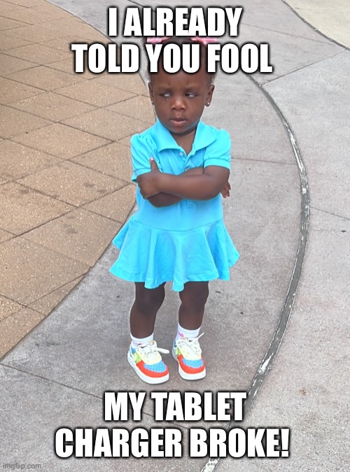 Mila the Monster | I ALREADY TOLD YOU FOOL; MY TABLET CHARGER BROKE! | image tagged in mila the monster | made w/ Imgflip meme maker