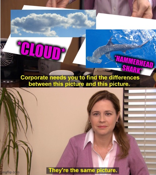 -Animal show. | *CLOUD*; *HAMMERHEAD
SHARK* | image tagged in memes,they're the same picture,mc hammer,cuphead,sharks,totally looks like | made w/ Imgflip meme maker