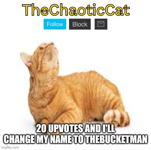 TheChaoticCat temp | 20 UPVOTES AND I'LL CHANGE MY NAME TO THEBUCKETMAN | image tagged in thechaoticcat temp | made w/ Imgflip meme maker