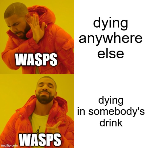 free epic Filo | dying anywhere else; WASPS; dying in somebody's drink; WASPS | image tagged in memes,drake hotline bling | made w/ Imgflip meme maker