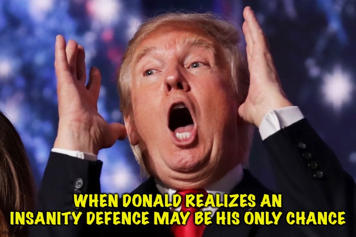 His only chance | WHEN DONALD REALIZES AN INSANITY DEFENCE MAY BE HIS ONLY CHANCE | image tagged in trump crazy insane | made w/ Imgflip meme maker