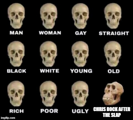 hehe chris rock's cheekbones rip | CHRIS ROCK AFTER
THE SLAP | image tagged in idiot skull | made w/ Imgflip meme maker