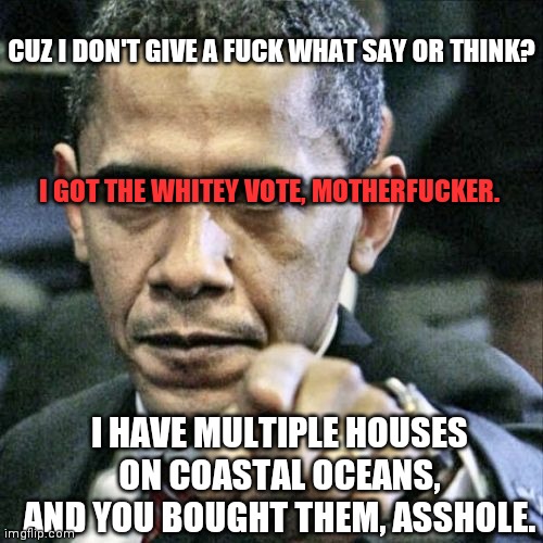 Pissed Off Obama Meme | I GOT THE WHITEY VOTE, MOTHERFUCKER. CUZ I DON'T GIVE A FUCK WHAT SAY OR THINK? I HAVE MULTIPLE HOUSES ON COASTAL OCEANS, AND YOU BOUGHT THE | image tagged in memes,pissed off obama | made w/ Imgflip meme maker