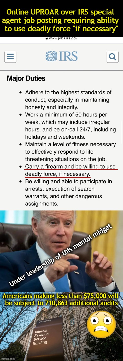 Quite Honestly, One Has to Be a SPECIAL Kind of Stupid to Go Along w/ Democrat Actions & Policies Today. | Online UPROAR over IRS special 
agent job posting requiring ability 
to use deadly force "if necessary"; Under leadership of this mental midget; Americans making less than $75,000 will 
be subject to 710,863 additional audits | image tagged in politics,liberals vs conservatives,democrats,irs,taxes,deadly force | made w/ Imgflip meme maker