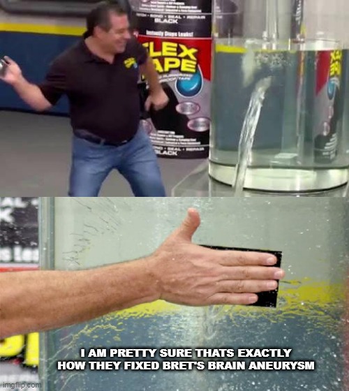Bret | I AM PRETTY SURE THATS EXACTLY HOW THEY FIXED BRET'S BRAIN ANEURYSM | image tagged in flex tape | made w/ Imgflip meme maker
