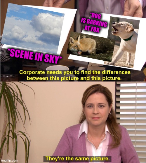 -Guardian of chicken. | *DOG IS BARKING AT FOX*; *SCENE IN SKY* | image tagged in memes,they're the same picture,raydog,barking,fox news,totally looks like | made w/ Imgflip meme maker