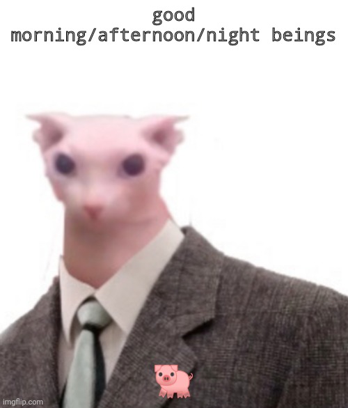 bingus | good morning/afternoon/night beings; 🐖 | image tagged in bingus | made w/ Imgflip meme maker