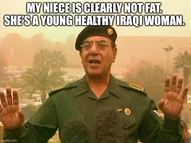 MY NIECE IS CLEARLY NOT FAT. 
SHE’S A YOUNG HEALTHY IRAQI WOMAN. | made w/ Imgflip meme maker