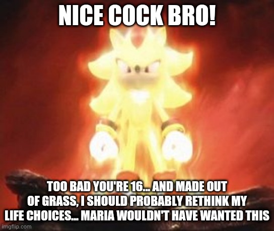 Super Shadow | NICE COCK BRO! TOO BAD YOU'RE 16... AND MADE OUT OF GRASS, I SHOULD PROBABLY RETHINK MY LIFE CHOICES... MARIA WOULDN'T HAVE WANTED THIS | image tagged in super shadow | made w/ Imgflip meme maker