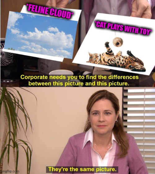 -Meaning mouse. | *FELINE CLOUD*; *CAT PLAYS WITH TOY* | image tagged in memes,they're the same picture,cute cat,toys r us,totally looks like,feline | made w/ Imgflip meme maker