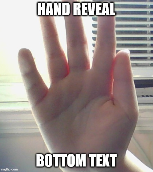 HAND REVEAL BOTTOM TEXT | made w/ Imgflip meme maker
