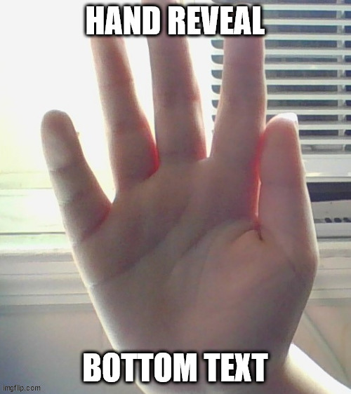 hand reveal for all you peeps who missed it | image tagged in hand reveal | made w/ Imgflip meme maker