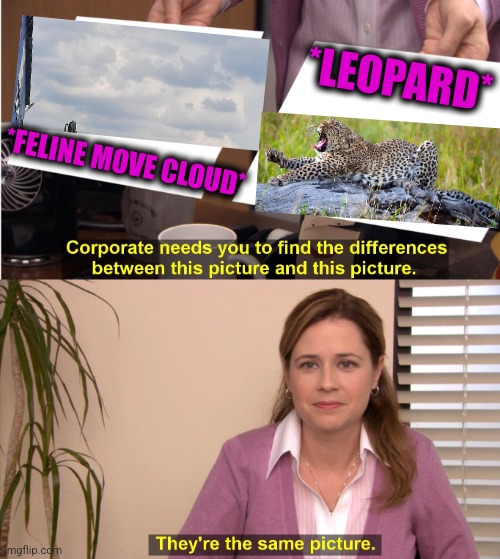 -In the jungle, in lion jungle. | *LEOPARD*; *FELINE MOVE CLOUD* | image tagged in memes,they're the same picture,leopard,totally looks like,mushroom cloud,feline | made w/ Imgflip meme maker