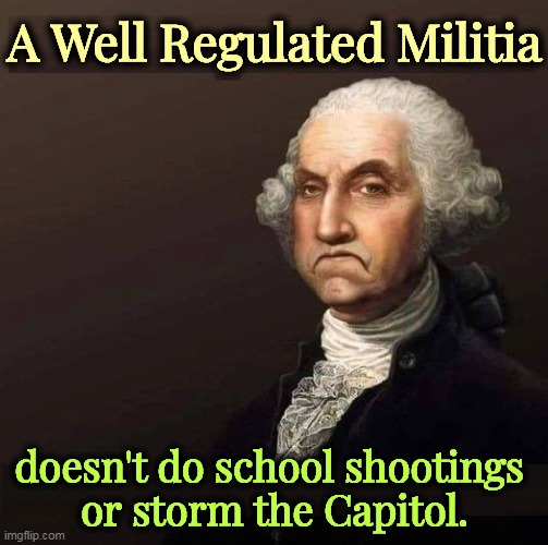  A Well Regulated Militia; doesn't do school shootings 
or storm the Capitol. | image tagged in george washington,second amendment,gun rights,school shootings,capitol,riot | made w/ Imgflip meme maker