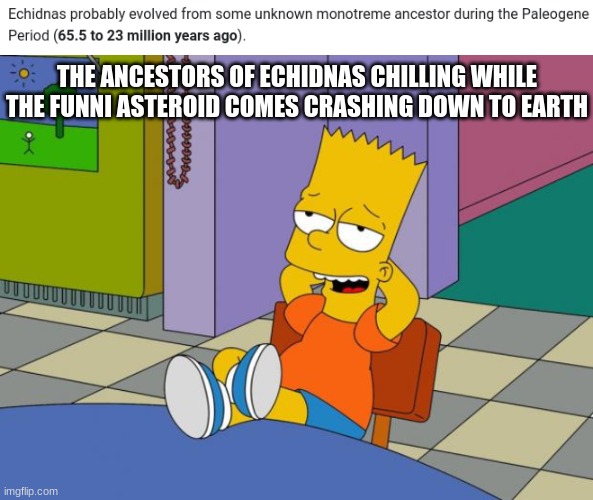 THE ANCESTORS OF ECHIDNAS CHILLING WHILE THE FUNNI ASTEROID COMES CRASHING DOWN TO EARTH | made w/ Imgflip meme maker